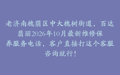 老济南槐荫区中大槐树街道，百达翡丽2026年10月最新维修保养服务电话，客户直接打这个客服咨询就行！