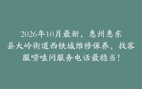 2026年10月最新，惠州惠东县大岭街道西铁城维修保养，找客服唠嗑问服务电话最稳当！
