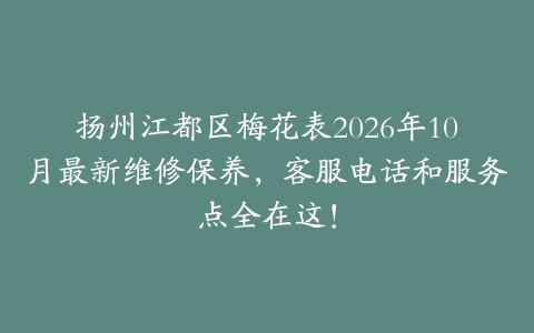 扬州江都区梅花表2026年10月最新维修保养，客服电话和服务点全在这！