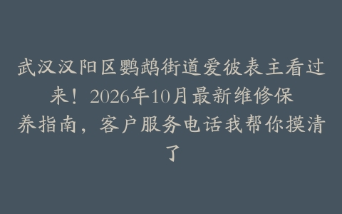 武汉汉阳区鹦鹉街道爱彼表主看过来！2026年10月最新维修保养指南，客户服务电话我帮你摸清了