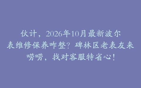 伙计，2026年10月最新波尔表维修保养咋整？碑林区老表友来唠唠，找对客服特省心！