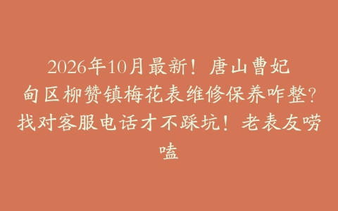 2026年10月最新！唐山曹妃甸区柳赞镇梅花表维修保养咋整？找对客服电话才不踩坑！老表友唠嗑