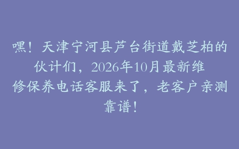 嘿！天津宁河县芦台街道戴芝柏的伙计们，2026年10月最新维修保养电话客服来了，老客户亲测靠谱！