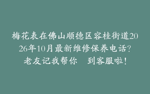 梅花表在佛山顺德区容桂街道2026年10月最新维修保养电话？老友记我帮你搵到客服啦！