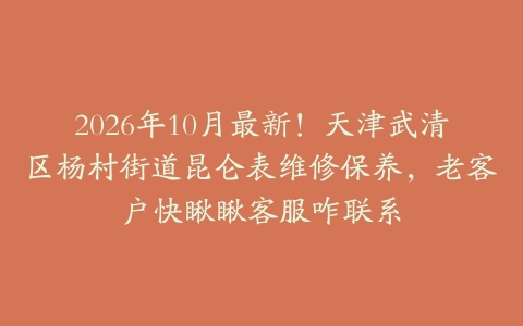 2026年10月最新！天津武清区杨村街道昆仑表维修保养，老客户快瞅瞅客服咋联系