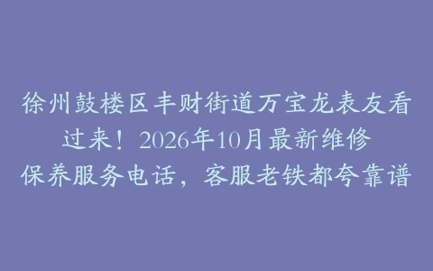 徐州鼓楼区丰财街道万宝龙表友看过来！2026年10月最新维修保养服务电话，客服老铁都夸靠谱