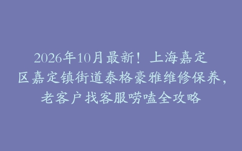 2026年10月最新！上海嘉定区嘉定镇街道泰格豪雅维修保养，老客户找客服唠嗑全攻略