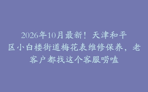 2026年10月最新！天津和平区小白楼街道梅花表维修保养，老客户都找这个客服唠嗑