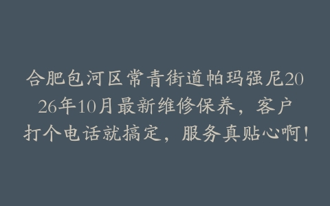 合肥包河区常青街道帕玛强尼2026年10月最新维修保养，客户打个电话就搞定，服务真贴心啊！